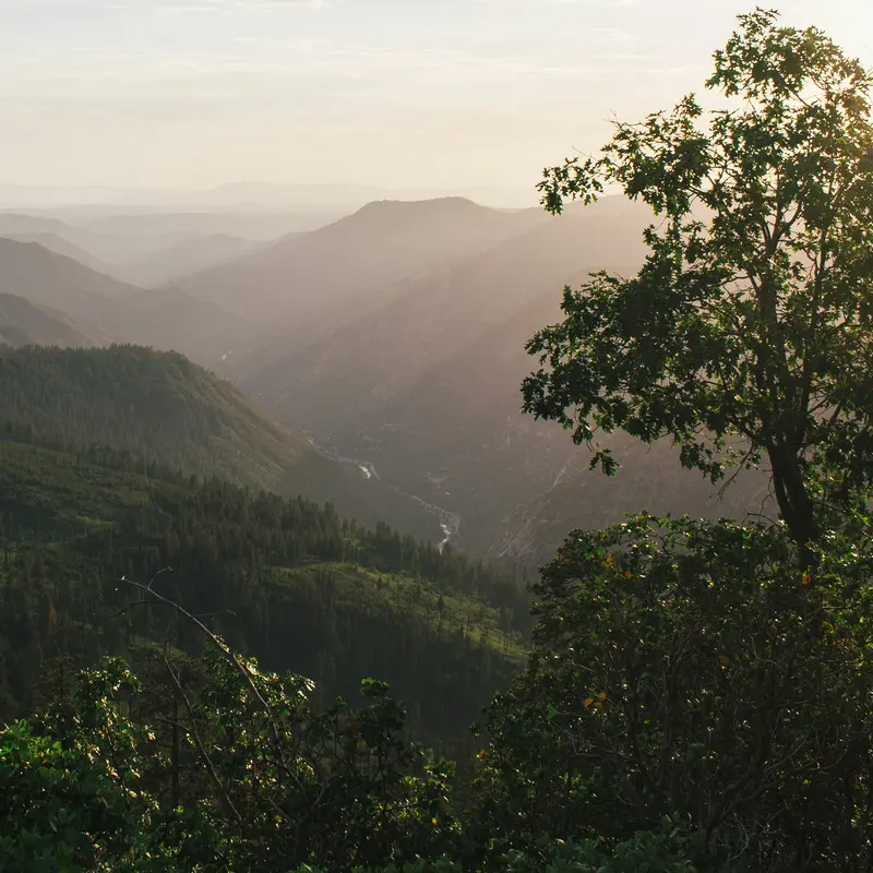 Lush Mountain Forest Valley at Golden Hour Jigsaw Puzzle