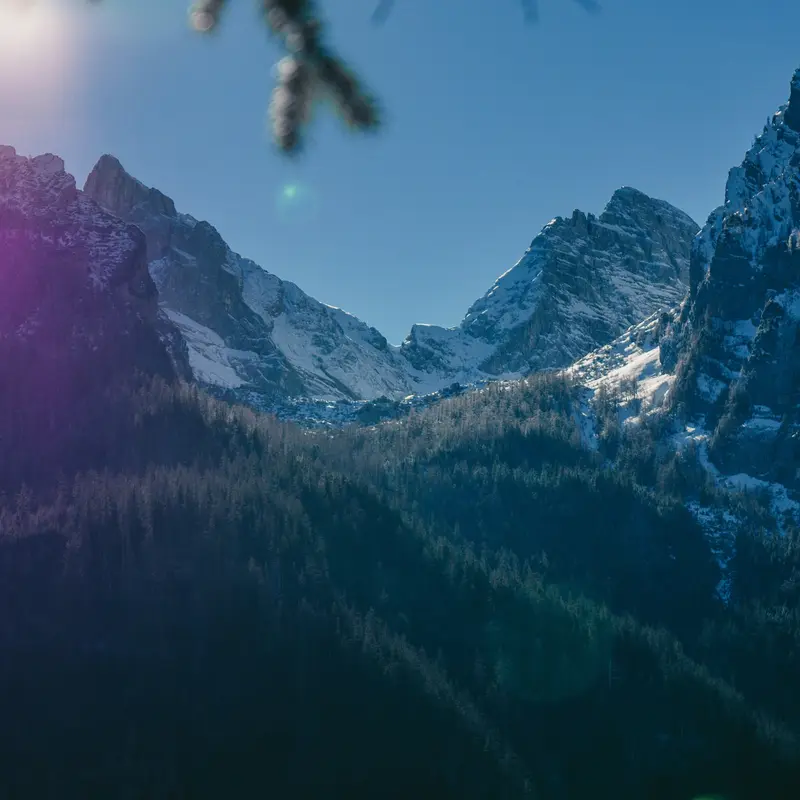 Snowy Mountain Peaks Above Pine Forest Jigsaw Puzzle