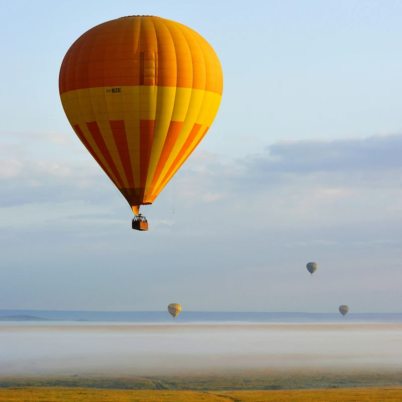 Golden Hot Air Balloons Over Savanna Jigsaw Puzzle