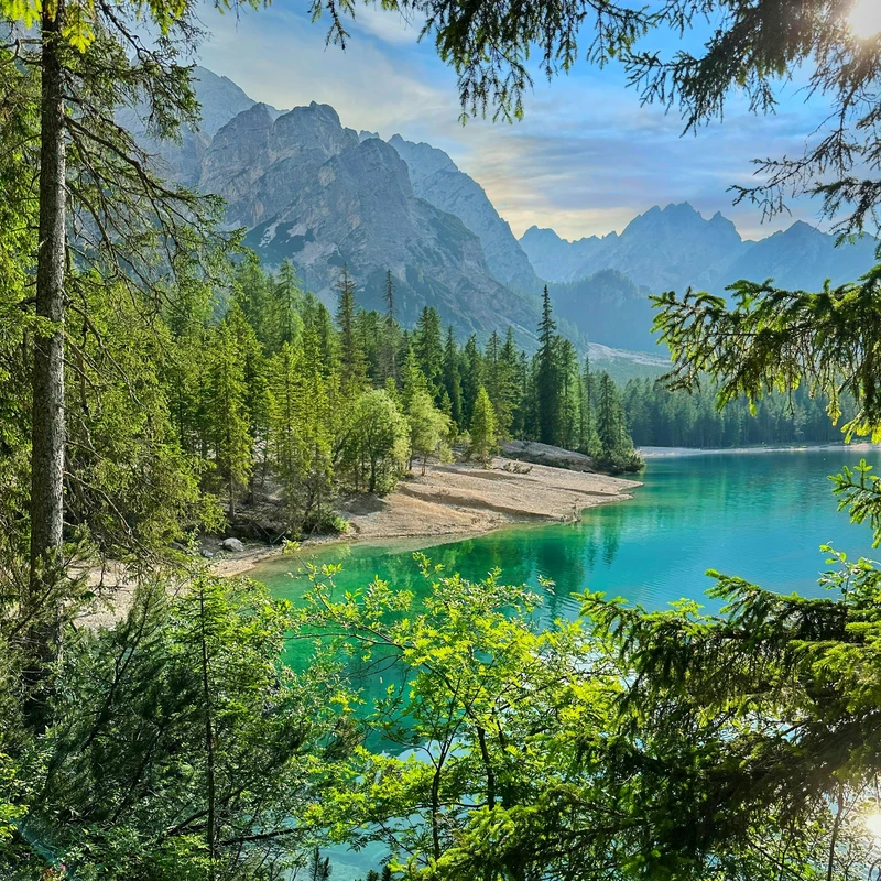 Alpine Lake Through the Pines Jigsaw Puzzle