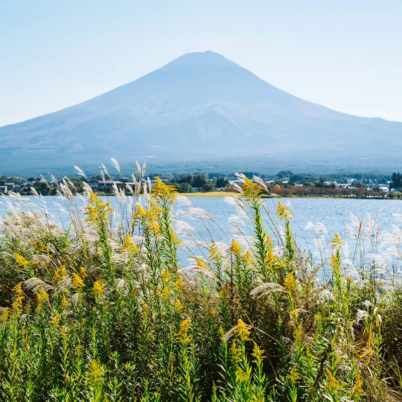 Mount Fuji From Lake Kawaguchi in Autumn Jigsaw Puzzle