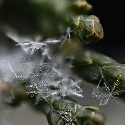 jigsaw puzzle