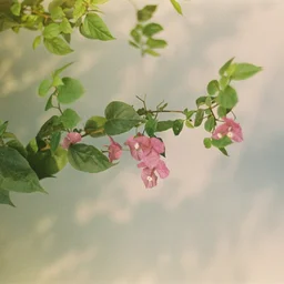 Flowers jigsaw puzzle