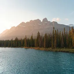 Nature jigsaw puzzle